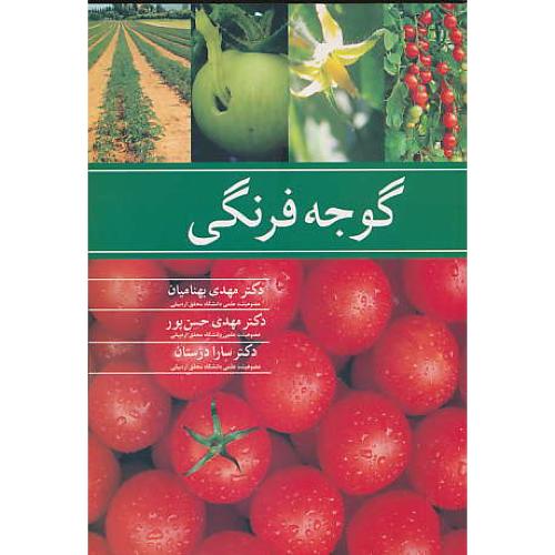 گوجه فرنگی / بهنامیان / حسن پور / دژستان / آییژ