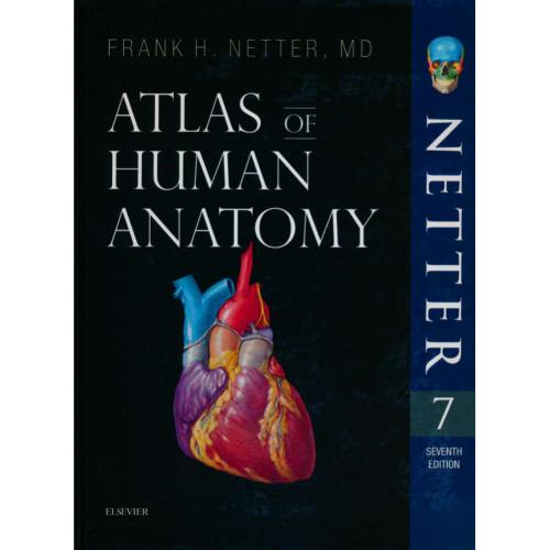 NETTER / ATLAS OF HUMAN ANATOMY 2019 /اطلس نتر/بدون قاب/ویرایش 7/ابن سینا