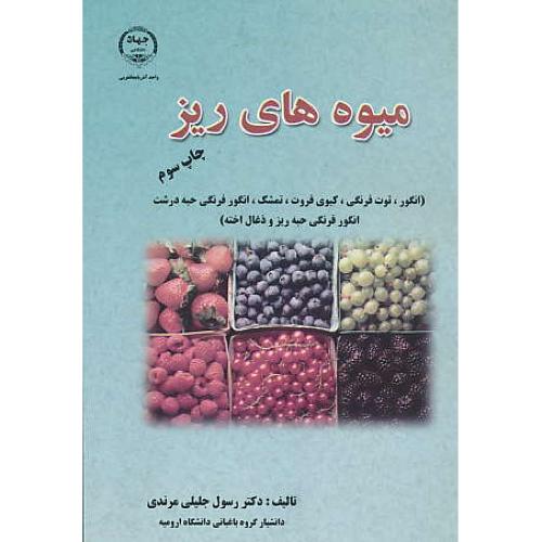 میوه های‏ ریز / انگور، توت‏فرنگی‏، کیوی ‏فروت‏، تمشک‏ / مرندی