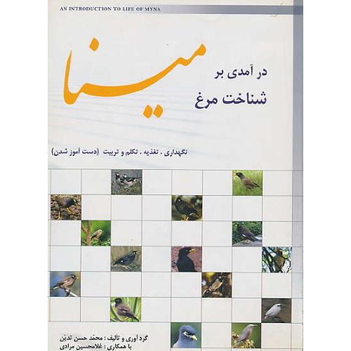 در آمدی‏ بر شناخت‏ مرغ‏ مینا / گلاسه ‏/ رحلی‏ / نگهداری‏، تغذیه‏، تکلم‏ و تربیت‏ (دست‏آموز شدن)