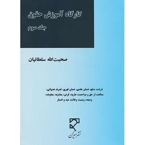 کارگاه آموزش حقوق (ج3) سلطانیان / میزان