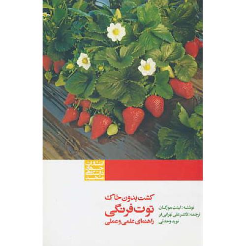 کشت بدون خاک توت فرنگی ( راهنمای علمی و عملی ) جهاد مشهد