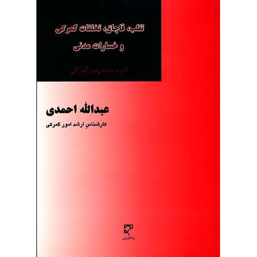 تقلب، قاچاق، تخلفات گمرکی و خسارات مدنی / احمدی / میزان