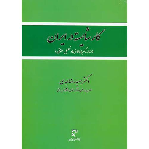 کار شایسته در ایران (اندازه گیری کاستی ها و تحلیل حقوقی ) میزان