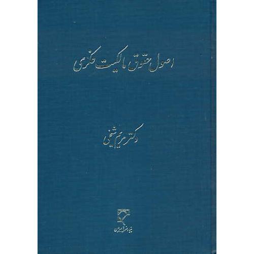 اصول حقوق مالکیت فکری / شیخی / میزان