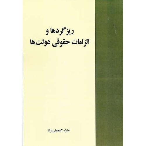 ریزگردها و الزامات حقوقی دولت ها / گنجعلی نژاد / خرسندی