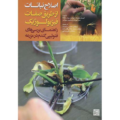 اصلاح نباتات از طریق صفات فیزیولوژیک / راهنمای بررسی های فنوتیپی گندم در مزرعه