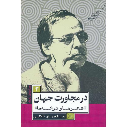 در مجاورت جهان / شعرها و ترانه ها / کاکایی / چراغ های رابطه (3)