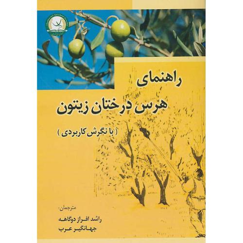 راهنمای هرس درختان زیتون / بانگرش کاربردی / افرازدگاهه