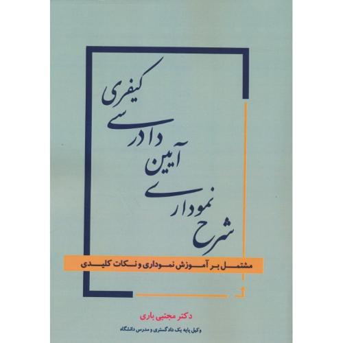 شرح نموداری آیین دادرسی کیفری/مشتمل بر آموزش نموداری و نکات کلیدی