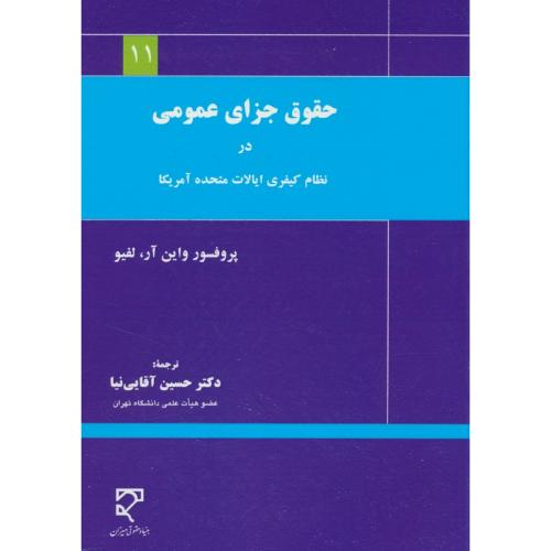 حقوق جزای عمومی در نظام کیفری ایالات متحده آمریکا / میزان