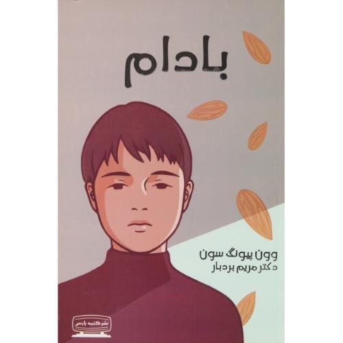 بادام / سون / بردبار / کتیبه پارسی