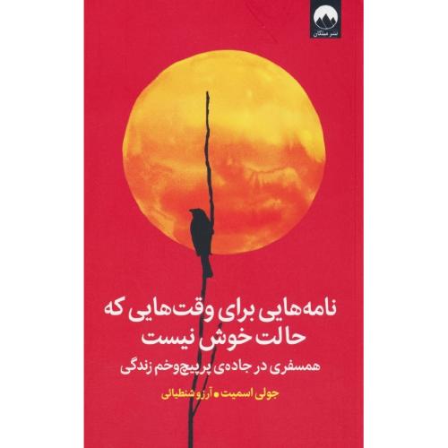 نامه هایی برای وقت هایی که حالت خوش نیست / همسفری در جاده پرپیچ و خم زندگی/میلکان