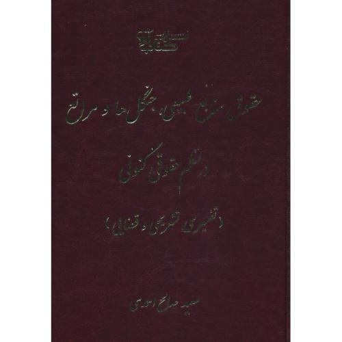 حقوق منابع طبیعی، جنگل ها و مراتع در نظم حقوقی کنونی / صالح احمدی