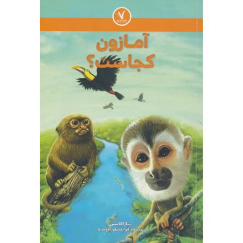 آمازون کجاست / فابینی / نیکومرام / هفت و نیم