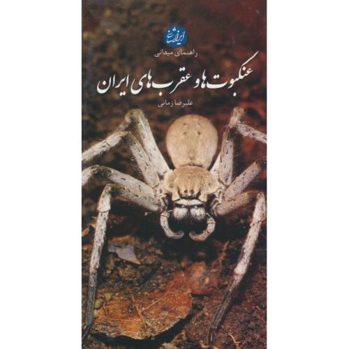 راهنمای میدانی عنکبوت و عقرب های ایران / زمانی / ایرانشناسی