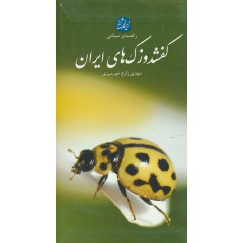راهنمای میدانی کفشدوزک های ایران / خورمیزی / پالتویی / ایرانشناسی